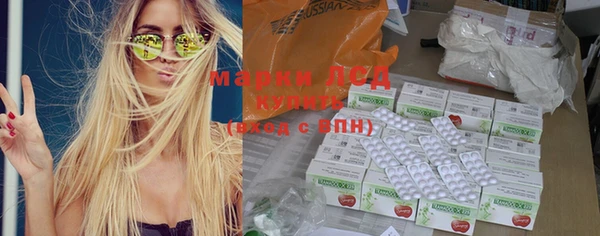 гидропоника Алзамай