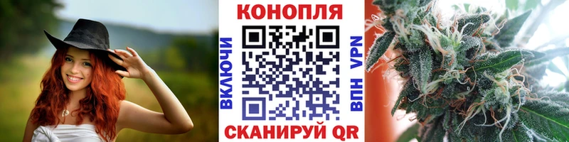 площадка клад  Саранск  Конопля план 